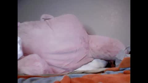 Snapshot of smolgothwitch chatting on 4, 2, 2025 SmolHungGothWitch online show from 4, 2, 2025