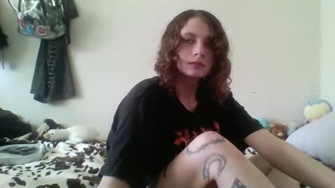 Bambi--Vodka online show from 1, 3, 2026