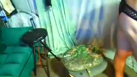 snizniz online show from 29, 7, 2026