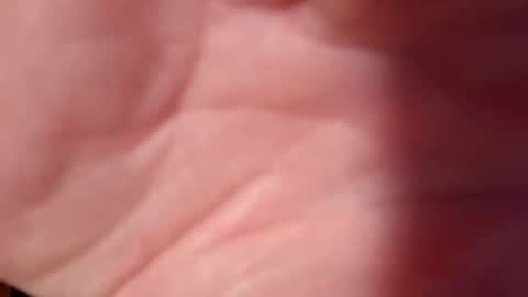 Snooty online show from 10, 2, 2025