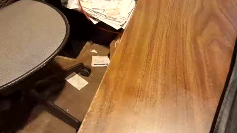 watchmecum online show from 15, 2, 2026