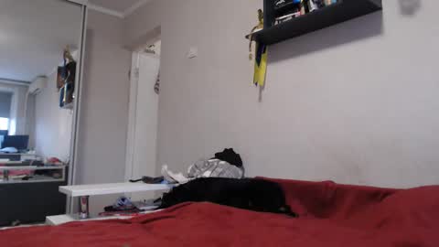 Sofi online show from 11, 11, 2025