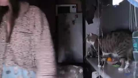 Sofi online show from 14, 12, 2025