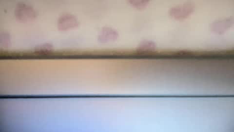 sofia8428 online show from 22, 9, 2025