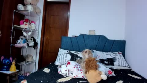 sofia86379 online show from 17, 3, 2026