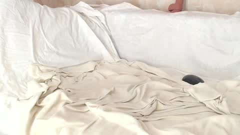 Sofia here online show from 8, 1, 2025