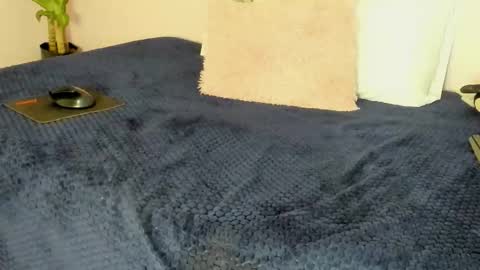 sofia_lawrence__ online show from 7, 11, 2025