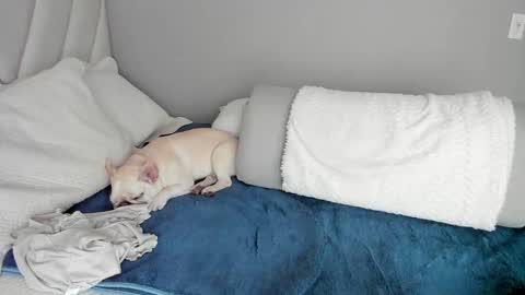 sofia_rivers_ online show from 1, 3, 2025