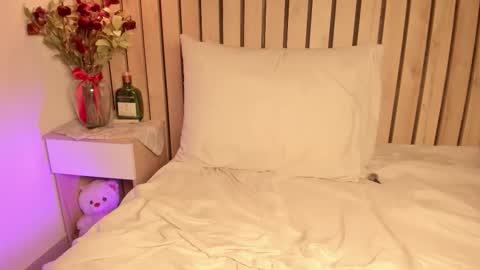 Snapshot of sofiesoft chatting on 11, 10, 2025 Sofie online show from 11, 10, 2025