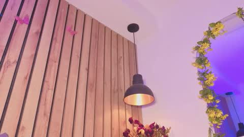 Snapshot of sofiesoft chatting on 12, 11, 2025 Sofie online show from 12, 11, 2025