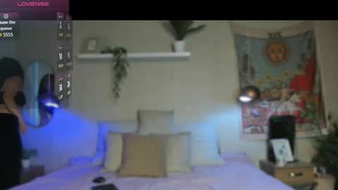 sofii_wild online show from 15, 5, 2026