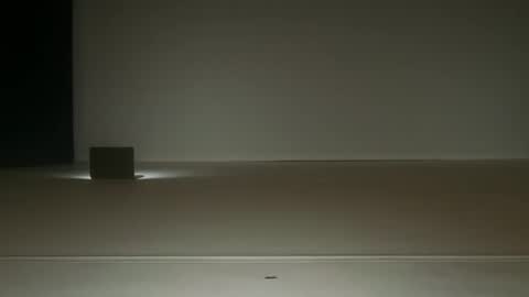 Ol4 online show from 19, 6, 2026