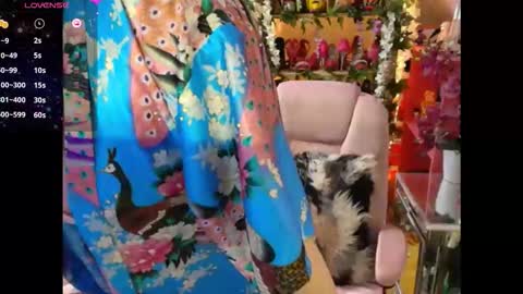 solesticia online show from 3, 2, 2026