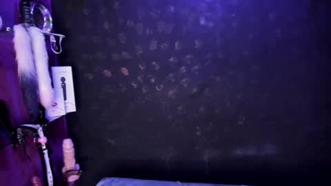 Alexa online show from 27, 2, 2025