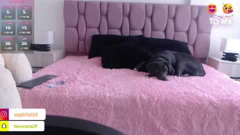 Snapshot of sophia_karsonn chatting on 1, 1, 2025 Sophia Carson online show from 1, 1, 2025