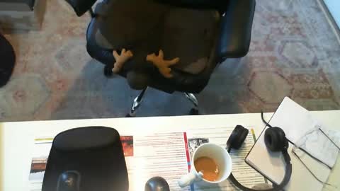 SOUTHERNBONES online show from 29, 9, 2025