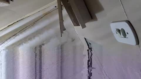 souzabig online show from 14, 9, 2025