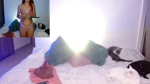      online show from 23, 2, 2026