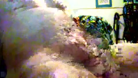 sparkybig127 online show from 7, 12, 2024