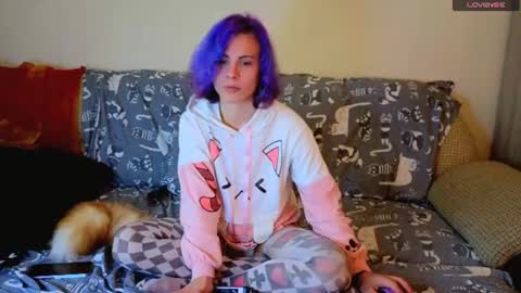 sparkyferret online show from 28, 6, 2026