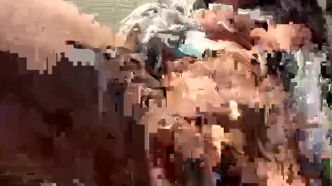 Snapshot of spicysam7901 chatting on 16, 12, 2024 Sammi online show from 16, 12, 2024