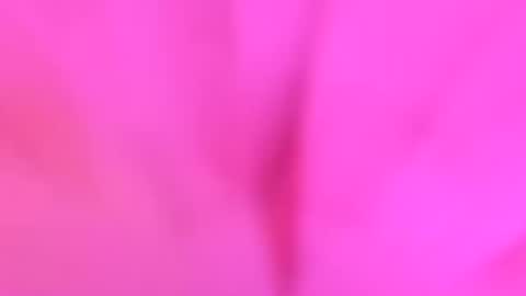 YourdirtysecretxMae online show from 26, 7, 2026