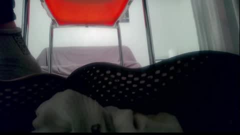 ssenzo online show from 1, 1, 2025