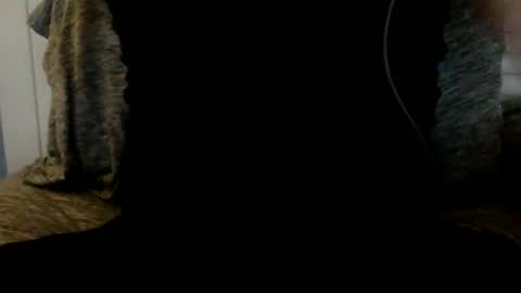 HIM online show from 8, 11, 2025