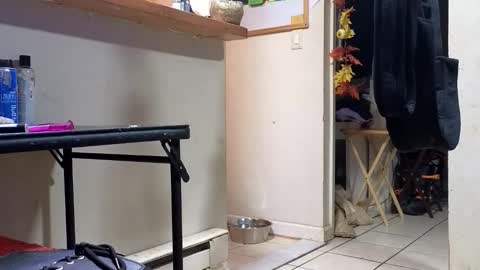 Submissive Slut LOVES adoration online show from 20, 11, 2025