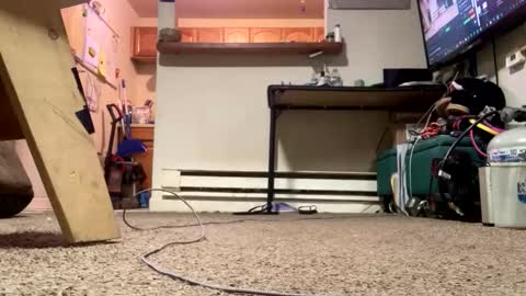 Submissive Slut LOVES adoration online show from 21, 2, 2026