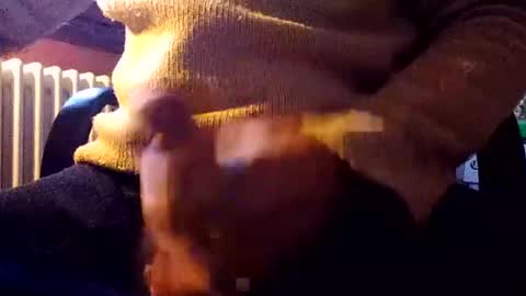 CIPPALIPPA online show from 31, 12, 2024