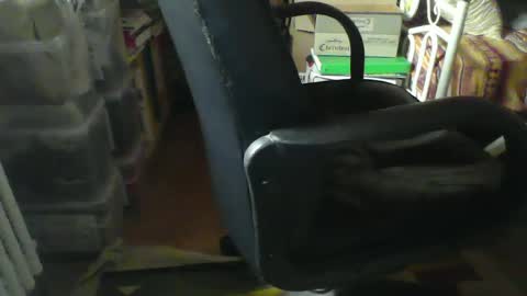 CIPPALIPPA online show from 21, 1, 2025