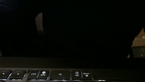 stargazer1069 online show from 13, 11, 2025