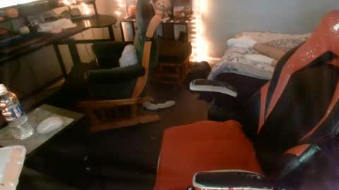 Starlight online show from 13, 12, 2024