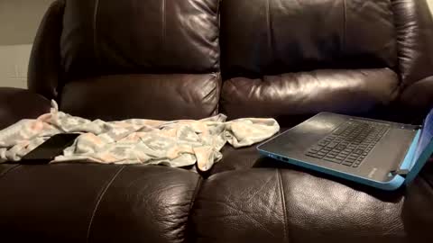 Snapshot of starr3095 chatting on 9, 1, 2025 starr3095 online show from 9, 1, 2025