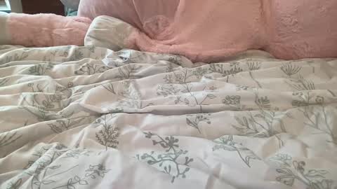 Stassiethatsororitygirl online show from 22, 2, 2025