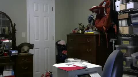 stasw20 online show from 25, 1, 2025