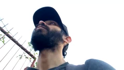 Lobo del Antiguo Oriente online show from 19, 3, 2026