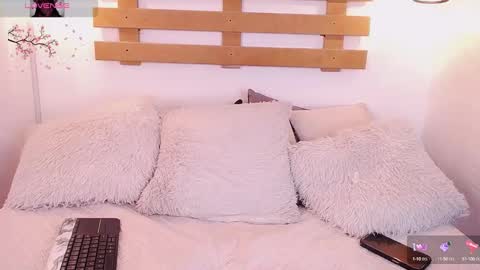 Steev online show from 2, 2, 2025