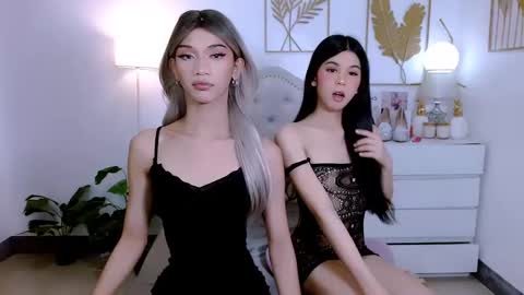 STEF online show from 7, 12, 2024