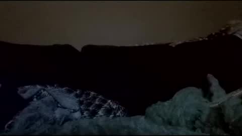 stefy1037 online show from 18, 4, 2026