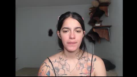 Stella online show from 20, 2, 2026