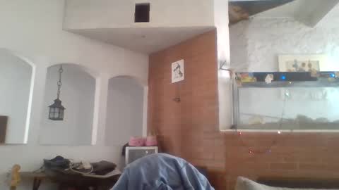 stevenson988 online show from 26, 12, 2024