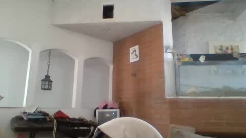 stevenson988 online show from 21, 1, 2025