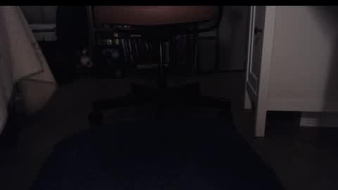 Snapshot of steviehello chatting on 8, 12, 2024 Skye online show from 8, 12, 2024