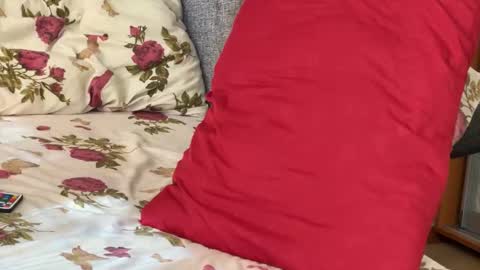 Chris online show from 15, 9, 2025