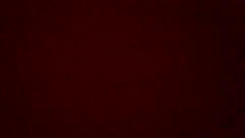 stiles91 online show from 6, 1, 2026