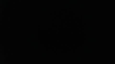 stonenipple online show from 19, 2, 2026