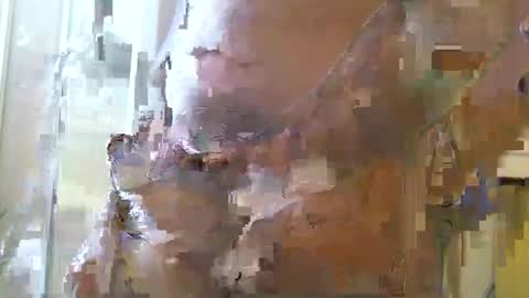 Snapshot of straightstroker81 chatting on 11, 12, 2024 straightstroker81 online show from 11, 12, 2024