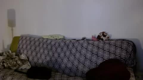 Strawberrylotsacake online show from 6, 4, 2026